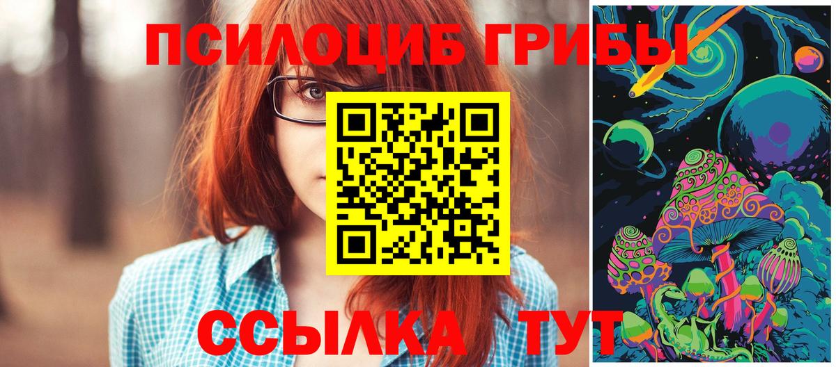 Псилоцибиновые грибы MAGIC MUSHROOMS  купить закладку  Конаково 