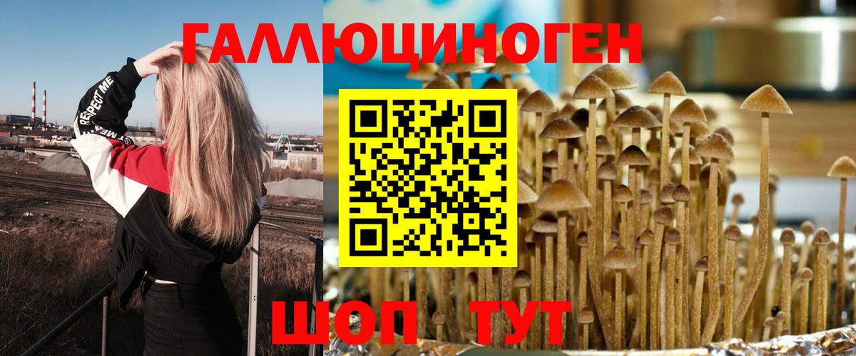 Псилоцибиновые грибы GOLDEN TEACHER Конаково