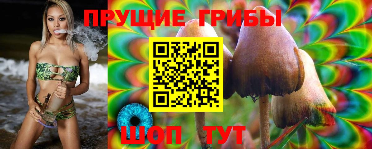 Псилоцибиновые грибы мухоморы Конаково