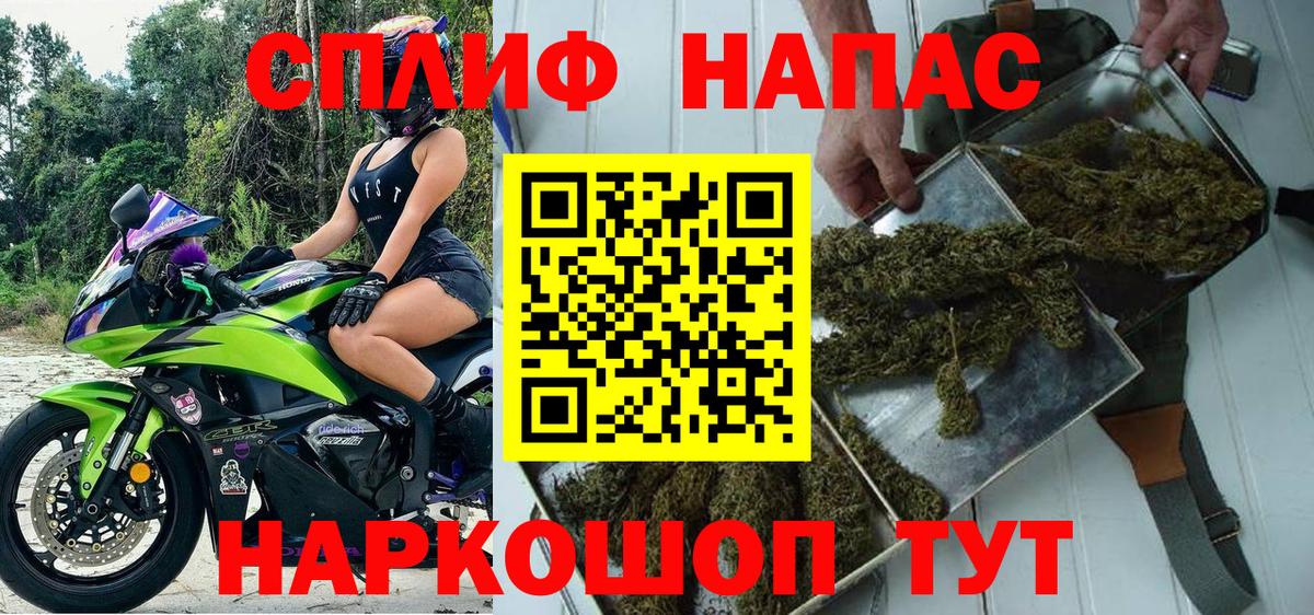 Бошки Шишки планчик Конаково