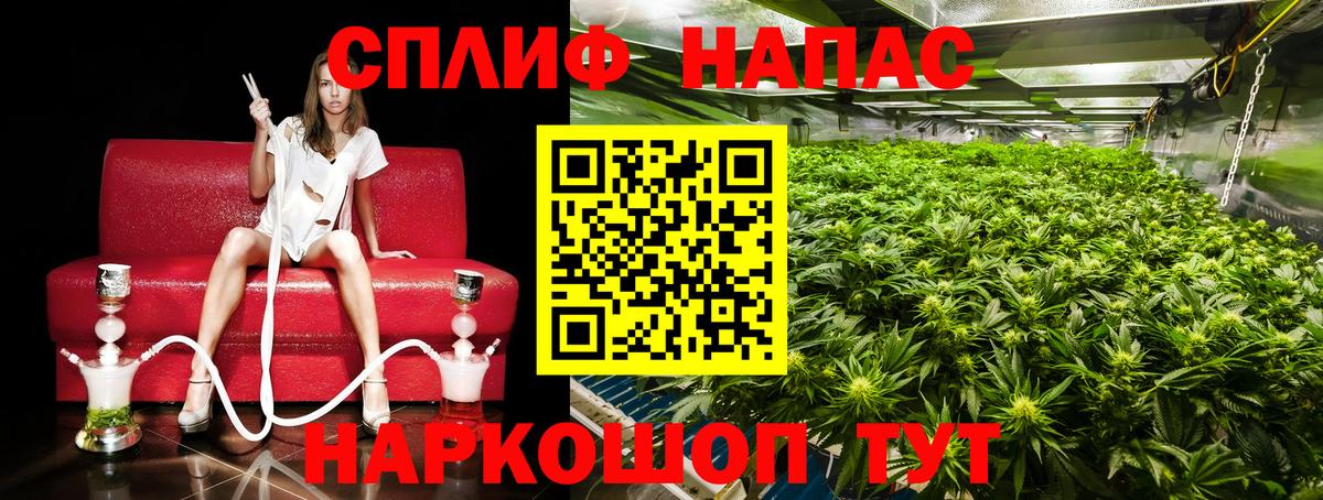 Бошки марихуана конопля  Конаково  Каннабис SATIVA & INDICA 